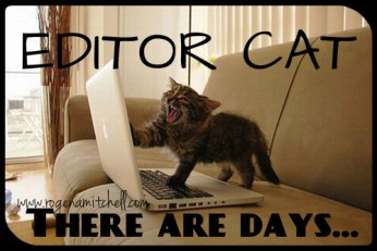 editor cat-there are days by Rogena Mitchell-Jones Manuscript Service.jpg