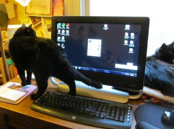 Little, Hands-on Editor.JPG